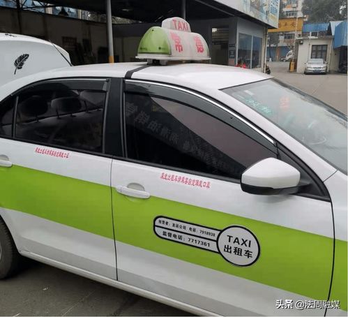 织密防疫安全网 常德出租汽车集体“体检”，筑牢健康出行防线